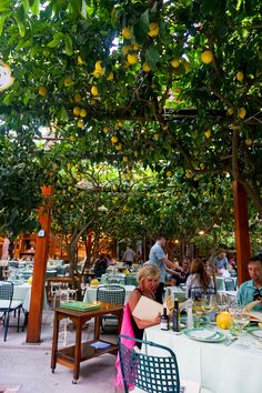 people sitting at tables under an orange tree with lemons hanging from it's branches