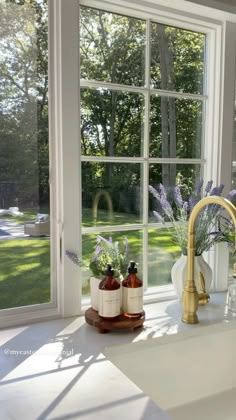 a kitchen sink sitting under a window next to a faucet with soap bottles on it