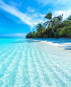 the water is crystal clear and blue with palm trees in the background on an island