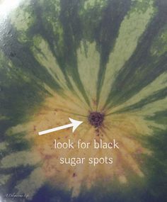 a close up of a watermelon with the words look for black sugar spots