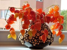 a vase filled with orange and red flowers on top of a window sill