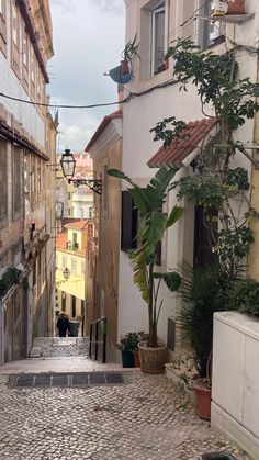 an alleyway with potted plants and buildings in the background