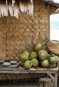 some coconuts are sitting on a wooden bench near the water and straw hut with thatched roof