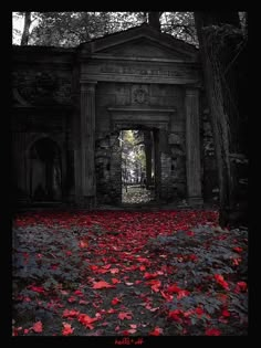 an old building with red leaves on the ground