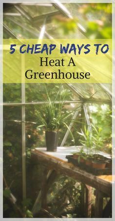 a greenhouse with plants in it and the words 5 cheap ways to heat a greenhouse