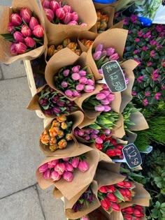 Beautiful array of different coloured tulips on Columbia Road Flower Market this spring  #flowers #spring #springflowers #tupis #bouquet #london Columbia Flower Market, London In Spring, London Flowers, Amsterdam Flower Market, Columbia Road Flower Market, The Flower Market, Columbia Road