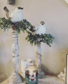 two white birds perched on top of some green plants in vases next to a candle