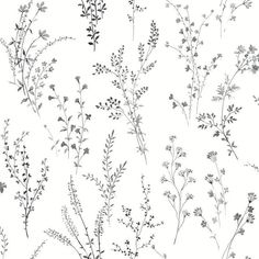 black and white drawing of flowers on a white background with text overlaying the image