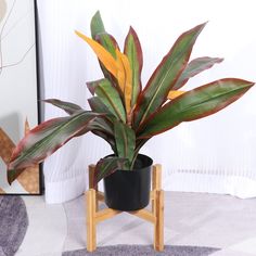 a potted plant sitting on top of a wooden stand