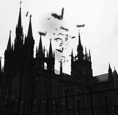 black and white photograph of gothic architecture with bats flying in the air