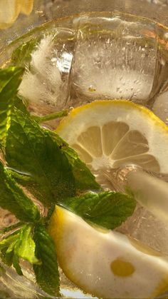 a glass filled with ice and lemon slices