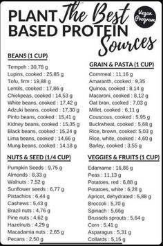 the best plant based protein sources list