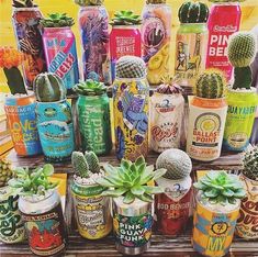 many cans and cacti are stacked on top of each other with succulents in them