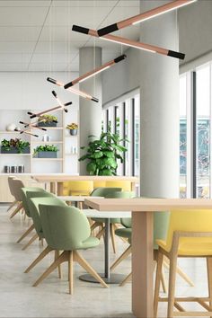 a long table with chairs and plants on the wall in an open space office setting