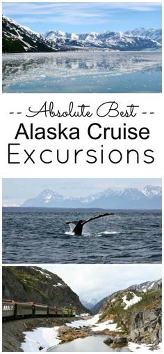 alaska cruise excursion with text overlaying the top and bottom photo, along with an image of mountains in the background