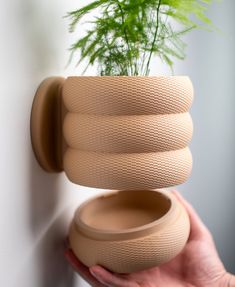 a person holding a plant in a vase on the wall with it's lid open