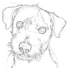 a drawing of a dog with big eyes