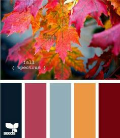 the color scheme for autumn is red, orange and yellow with some green leaves on it