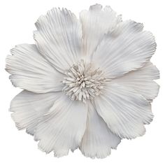 a large white flower on a white background