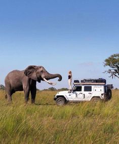 an elephant standing next to a jeep in the middle of a field with a woman looking at it