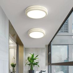 a bathroom with two round lights on the ceiling and a potted plant in the corner