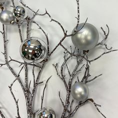 some silver ornaments are hanging on the branches of a tree with no leaves in it