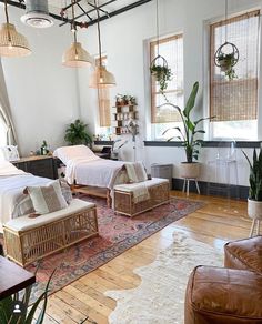 two beds in a room with wooden floors and hanging plants on the wall above them