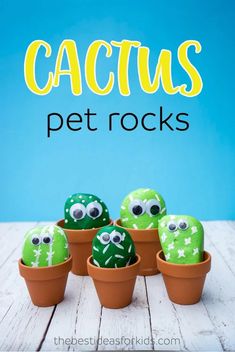 some cactus plants with googly eyes and the words cactus pet rocks in front of them