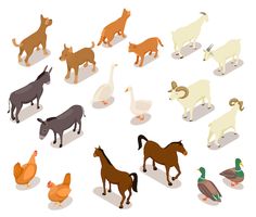 an image of farm animals set on white background stock photo edit now for your use