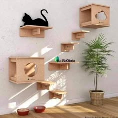 a cat sitting on top of a wooden shelf next to a potted plant