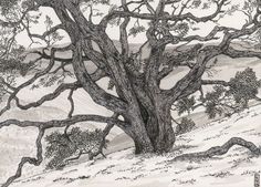 an ink drawing of a tree on a hill with mountains in the background and snow on the ground