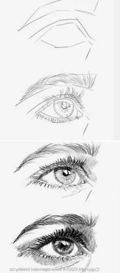 four different types of eyes drawn in pencil