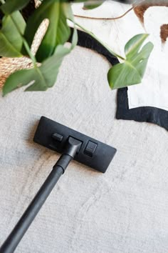 a black mop is laying on the floor next to a plant