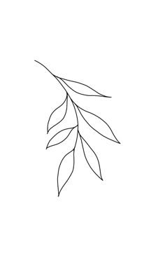 a black and white drawing of a leaf