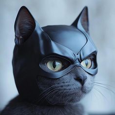 a cat wearing a batman mask and looking at the camera