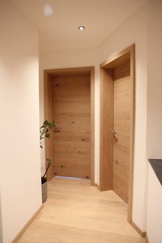 an empty hallway with two doors and a potted plant in the corner next to it