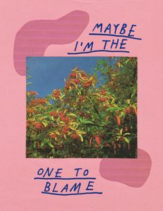 a pink album cover with blue writing on it and an orange tree in the background