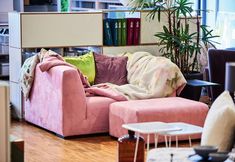 a living room with pink couches and bookshelves in the background, on hard wood flooring