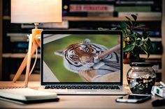 an open laptop computer sitting on top of a wooden desk next to a lamp and potted plant