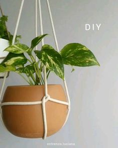 a potted plant hanging from a rope with the words diy written on it