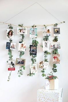 a bunch of pictures hanging on a wall with some leaves and branches attached to it