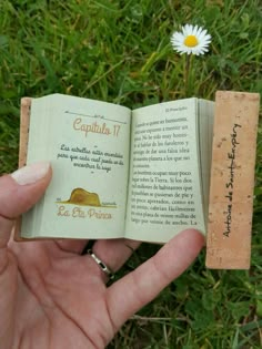 a person holding an open book in their hand with a daisy on the other side