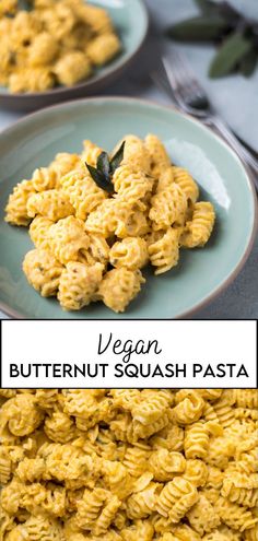 creamy pasta dish Creamy Roasted Garlic Butternut Squash Pasta, Creamy Roasted Butternut Squash Pasta, Vegan Butternut Squash Pasta Recipes, Creamy Roasted Garlic Butter Nut Squash Pasta, Butternut Squash Cashew Pasta, Fall Pasta Dishes, Fall Pasta, Butternut Squash Sauce, Squash Pasta