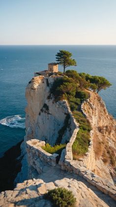 a lone tree on top of a cliff by the ocean