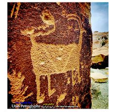 an animal painted on the side of a large rock with other rocks in the background