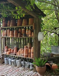 many pots are lined up on a shelf in the garden, along with other potted plants