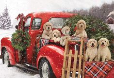 four puppies are sitting in the bed of an old red truck decorated for christmas