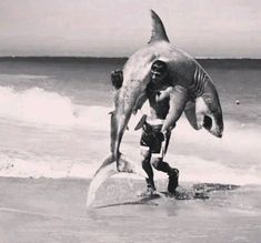 a man holding a large shark on top of a surfboard next to the ocean