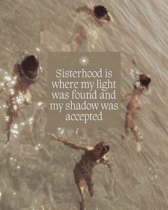 three dogs swimming in the water with a quote above them that reads, sisterhood is where my light was found and my shadow was accepted