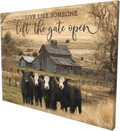 three cows standing in front of a barn with the words live like someone left the gate open